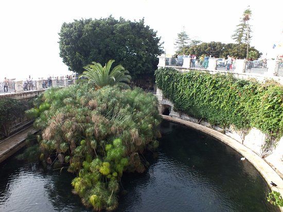 Fonte Aretusa